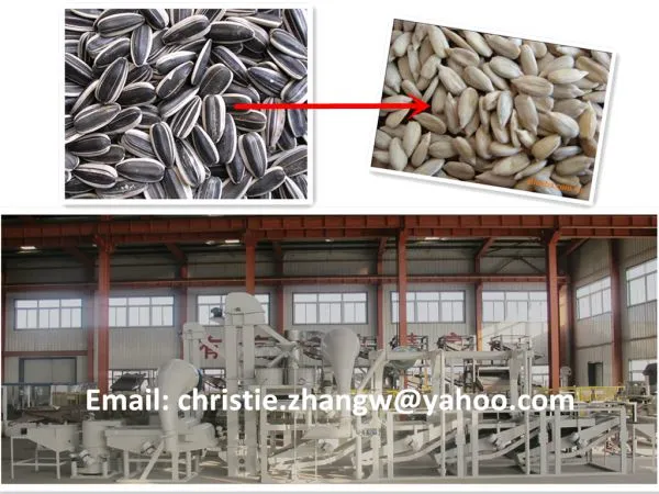 SUNFLOWER SEEDS DEHULLING&SEPARATING EQUIPMENT TFKH1500 HORIZONTAL