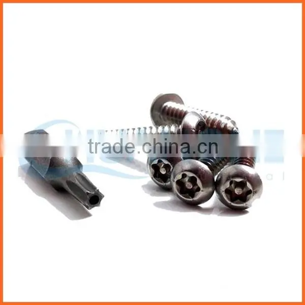 China Supplier Cnc Machining Anti-theft Screw photo-3