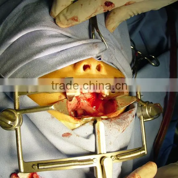 Dingman Retractor - Maxillofacial Instrument , Maxillary Instruments , Maxillo Surgery Instrument photo-3
