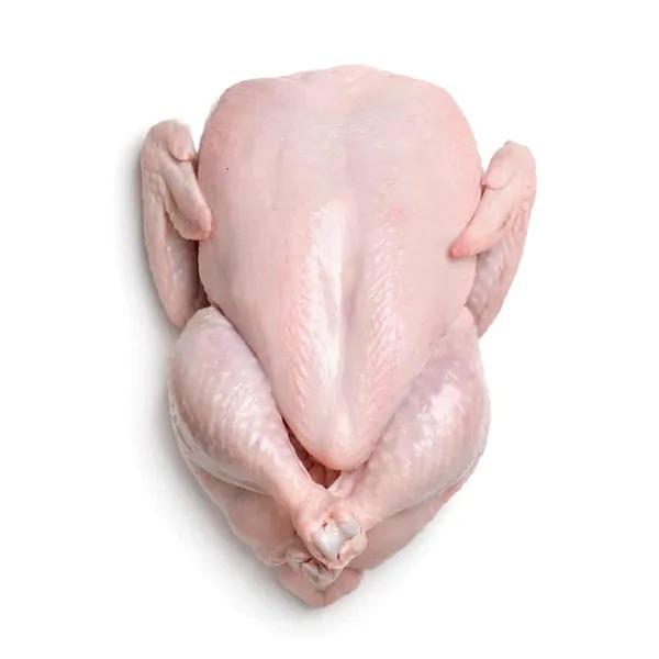 Premium Grade Halal Whole Chicken at Best Price photo-3