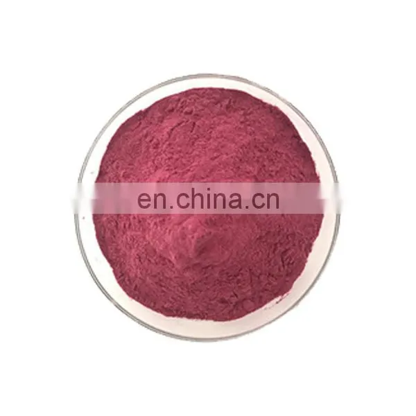 Freeze Dried Red Pink Pitaya Fruit Powder photo-3