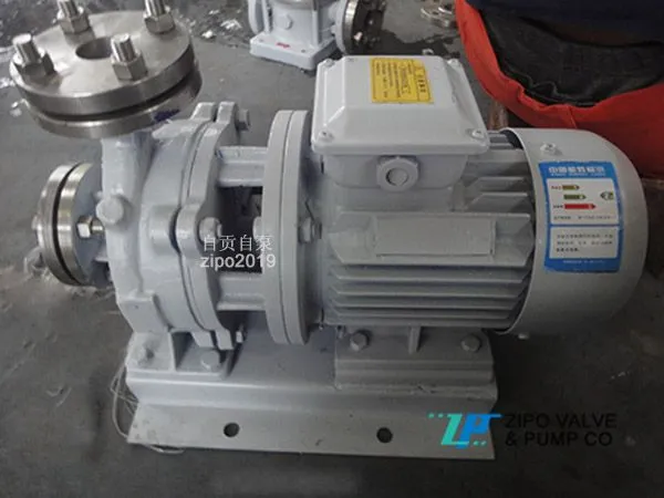 ZIPO ZISW/ ZISWH/ZISWR Horizontal Pipeline Centrifugal Pump photo-3