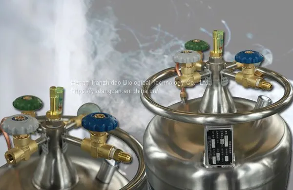 Argentina Self-pressurizing Liquid Nitrogen Tank Above 30 Liters Rehydration Tank for Large Diameter Liquid Nitrogen Container photo-2