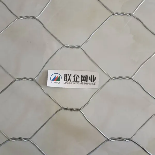 Lianqi Network Industry Galvanized Wire Mesh Gabions for River Engineering, Hot-dip Galvanized Wire Mesh Gabions, Gabion Stone Baskets for River Bank Protection photo-4