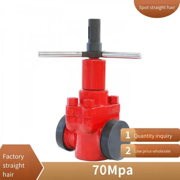 Langfeng Drilling High-pressure Mud Gate Valve Z23y-350 Dn80 for Oilfield Water Injection photo-2