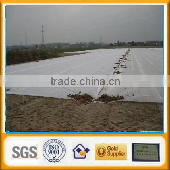 Non-woven Weed Control Cover Factory photo-3