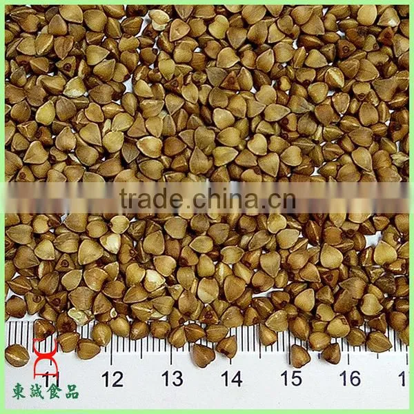 Common Cultivation Type Brown Color Roasted Buckwheat Wholesale photo-3
