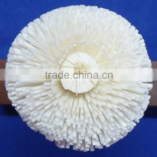 Sola Flower photo-5