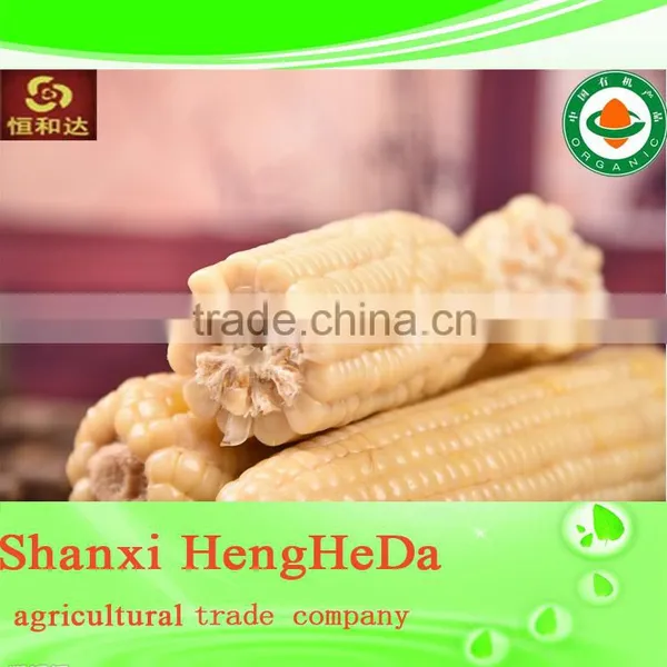 National Flag Perfect Corn photo-3
