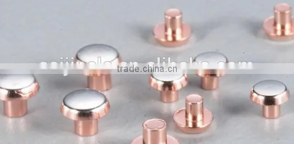 ISO9001 Silver Brass Contact Rivets Applied to All Kinds of Contactor photo-2
