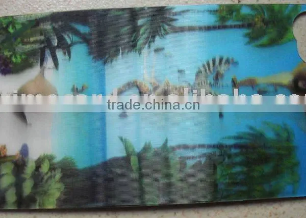 3D Lenticular Picture