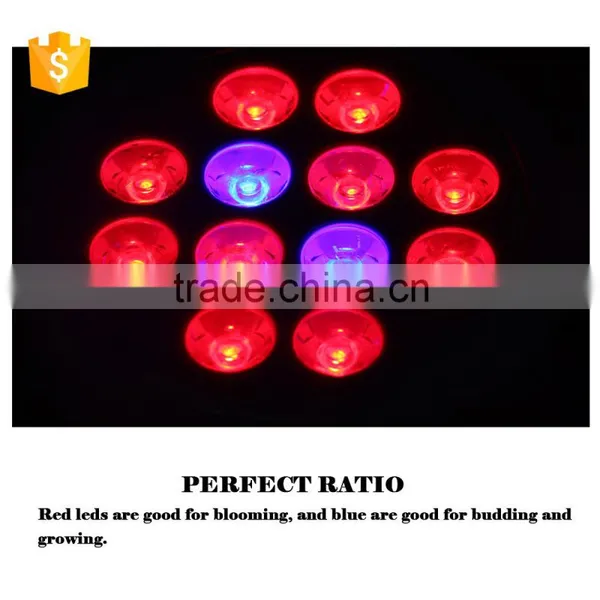 2016 Best Selling Grow Light Leds12W PAR LED Grow Light Full Spectrum COB LED2016 Best Selling Grow Light Leds12W PAR LED Grow l photo-4