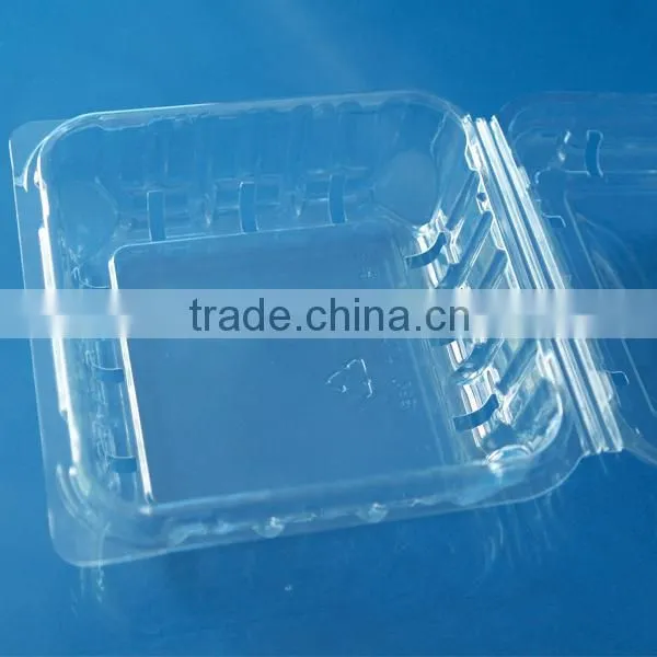 Blueberry Plastic Punnet Disposable Fruit Container Quality Choice photo-4