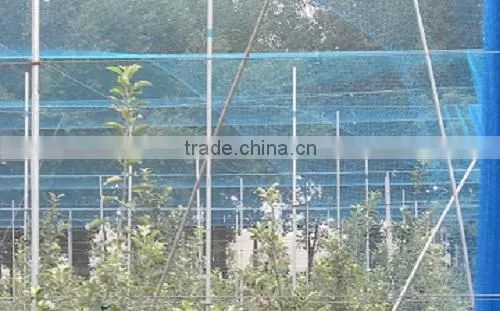 100% PP Plastic Fruit Cage Roof Netting/Fruit Protection Net photo-3
