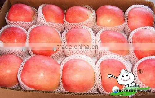 Red Fuji Apple