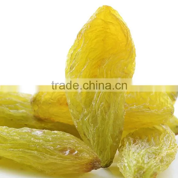 2015 New Crop Xinjiang Sultana Raisin photo-4