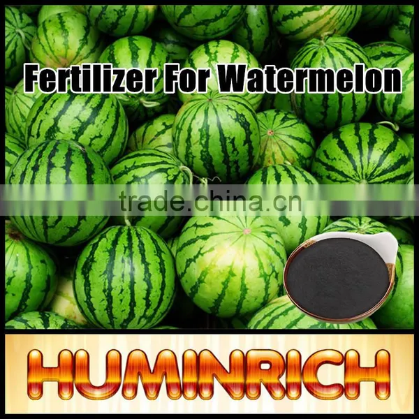 Huminrich Shenyang Insoluble Slow Release SH9001-4 Humic Acid Powder photo-2