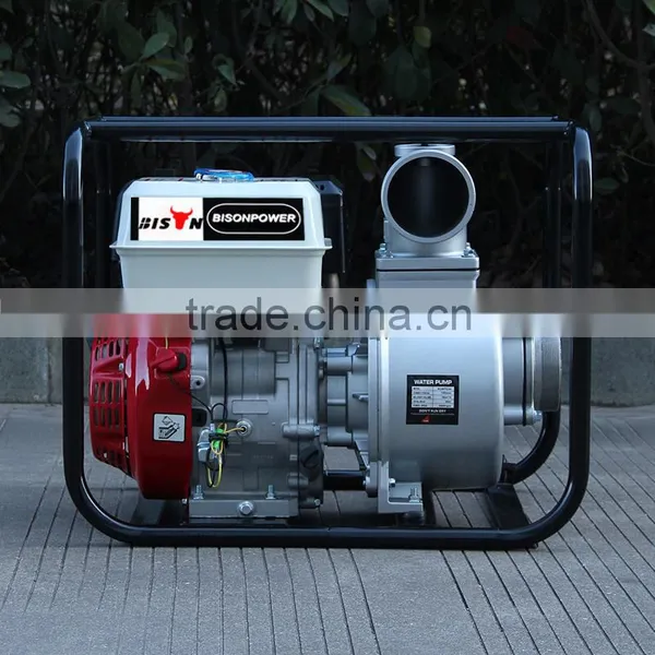 BISON(CHINA) BSWP40 Garden Tool Jet Pump Pressur Washer Pump photo-3