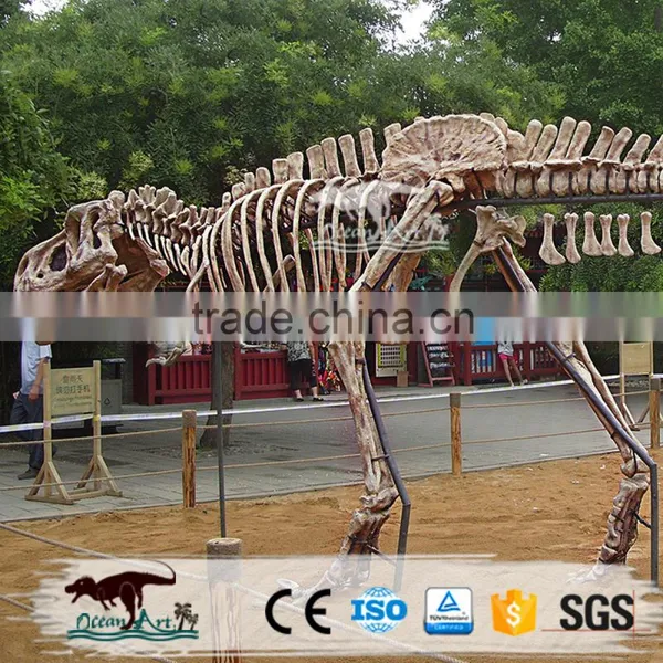 Dinosaur Exhibition Simulation Metal Dinosaur Skeleton photo-4