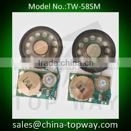 Waterproof Push Button Sound Module/voice Chip/audio Module photo-6