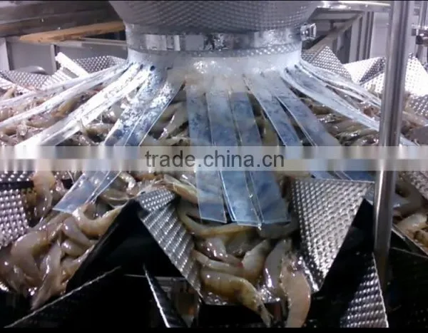 High Quality Fruits Vegetable Sea Food Shrimp Multihead Weigher photo-2