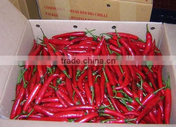 Chili Peppers photo-2