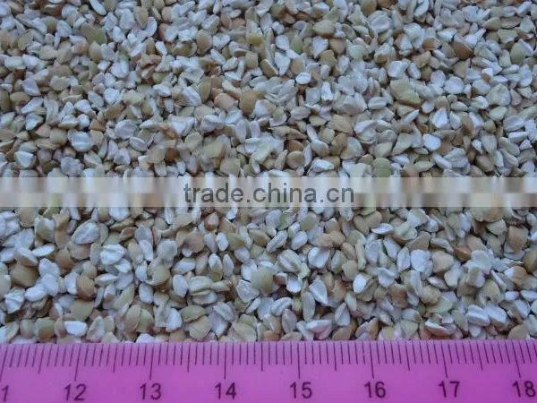 Crushed Green Buckwheat