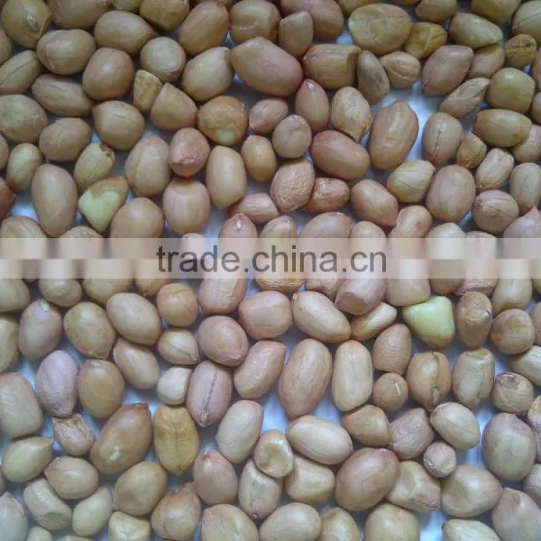 Peanuts photo-2