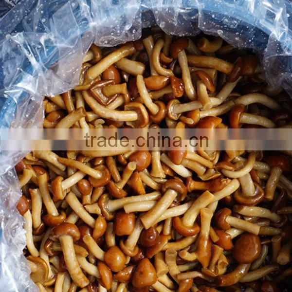 Prices of Mushrooms in Brine in Drum