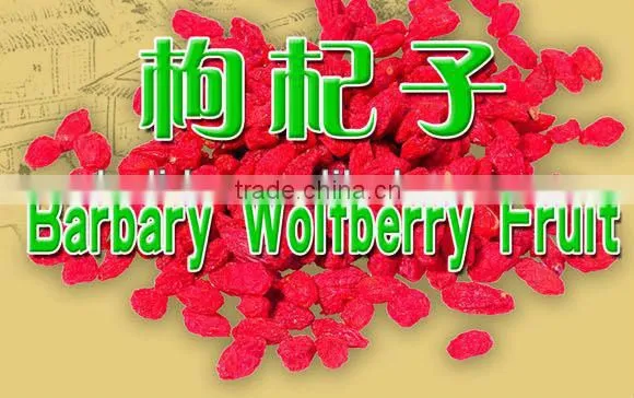 Superfine China Barbary Wolfberry Fruit photo-5