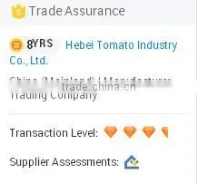 Primary Ingredient Hot Sell High Quality Sachet Tomato Paste photo-4