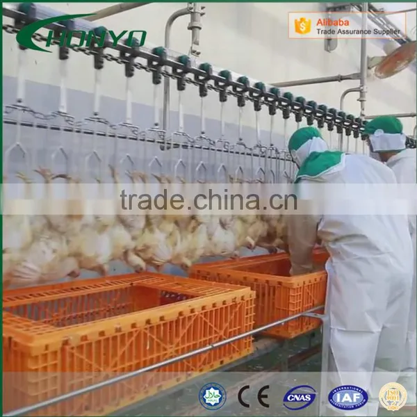 Full Stainless Steel Structure Halal Poultry CHICKEN SLAUGHTER AND ABATTOIR MACHINE LINE photo-5