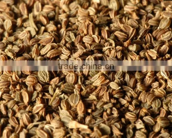 Celery Seeds photo-2