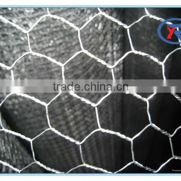 1/4",3/4" Cheap Decorative Chicken Wire /Rabbit Wire Mesh /Galvanized Hexagonal Wire Mesh photo-5
