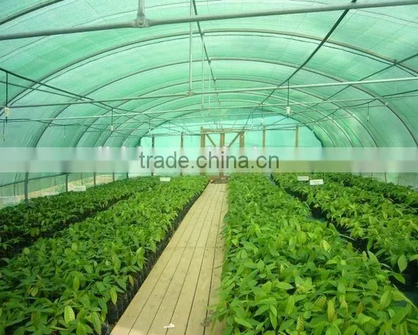 Polythene Film Solar Greenhouse For Vegetables photo-5