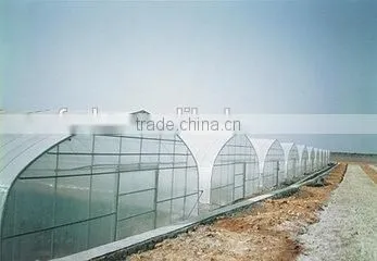Good Promotion Tunnel Greenhouse Film for Vegetables and Flowers photo-3