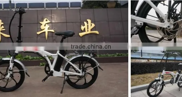 CE Approved 250w 20 Inch Foldable/folding Electric Bike photo-5