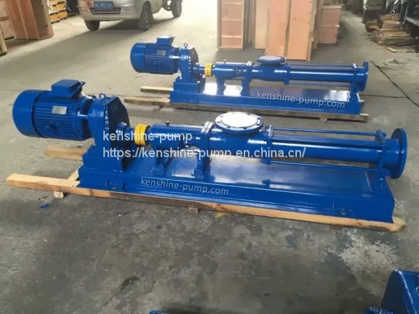 G Series Eccentric Helical Single Screw Pump photo-2
