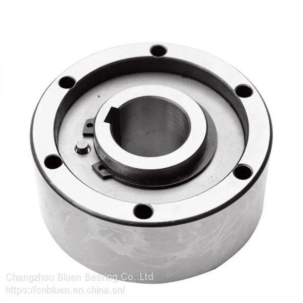 AA Series Engine Bearing One Way Clutch Bearing Manufacturer Auto Clutch photo-2