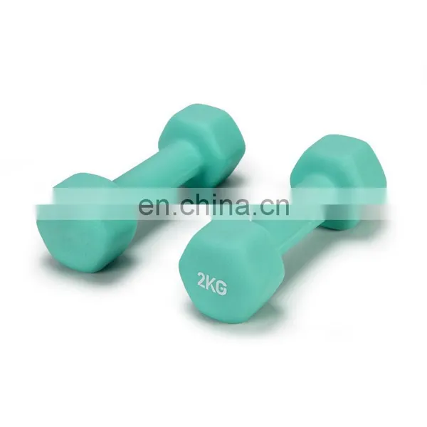 Custom Color Fitness Equipment Plastic Dumbbell Plastic Dipping Dumbbells photo-5
