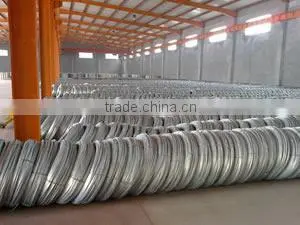 Galvanized Iron Wire photo-3