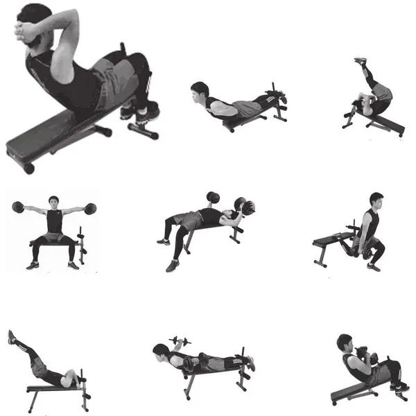 Multifunction Weight Training Gym Adjustable Sit up Weight Bench photo-5
