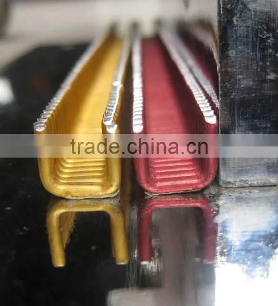 Clips With Color in 2015 New Year photo-2