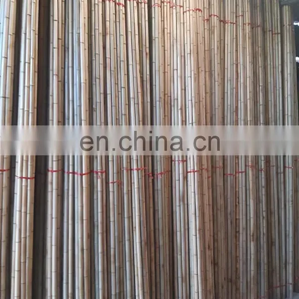 Sell off Competitive Price Premium Quality New Bamboo Various Size for Making Furniture From Distributor in Viet Nam photo-5