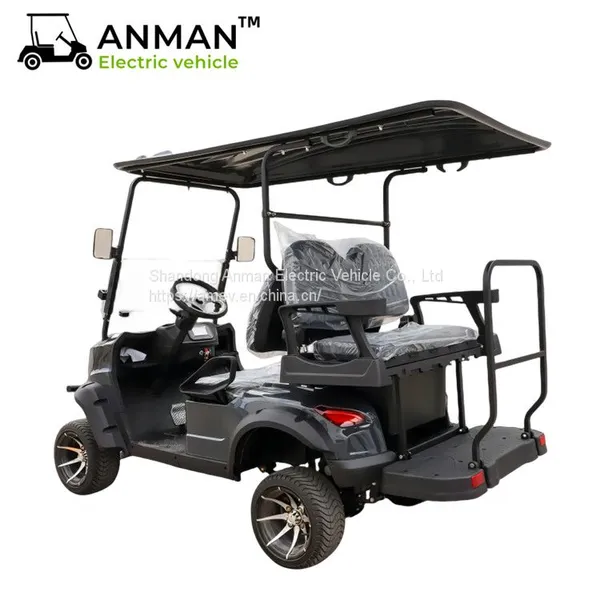 China 2+2 Seater Golf Carts, Electric Beach Car photo-3
