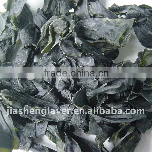 Low Calorie Food Salad Seaweed Kelp photo-4