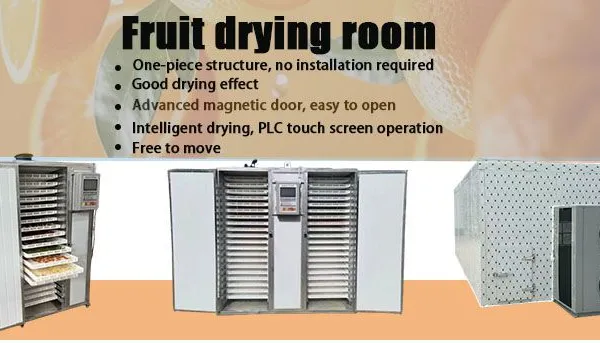 Stainless Steel 304 Industrial Drying Room for Fruits & Vegetables With Humidity Control photo-3