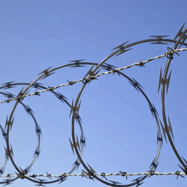304 Stainless Steel Galvanized Barbed Wire (BTO-22, CBT-65) Razor Barbed Wire photo-4