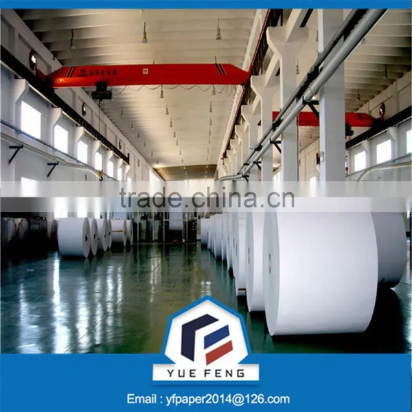Manufacturer of 230gsm Clay Coated Triplex Cardboard Paper photo-5
