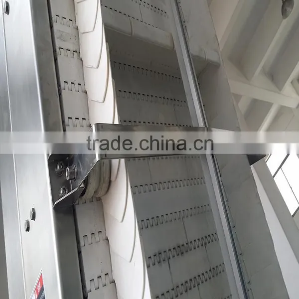 Inclined Belts Conveyor System for Production Line photo-2